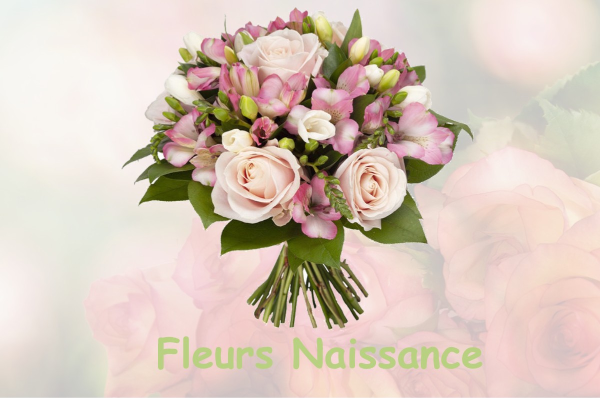 fleurs naissance GRANDCHAMPS-DES-FONTAINES